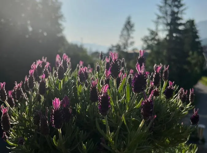 Wolfgangsee „bergliebe“